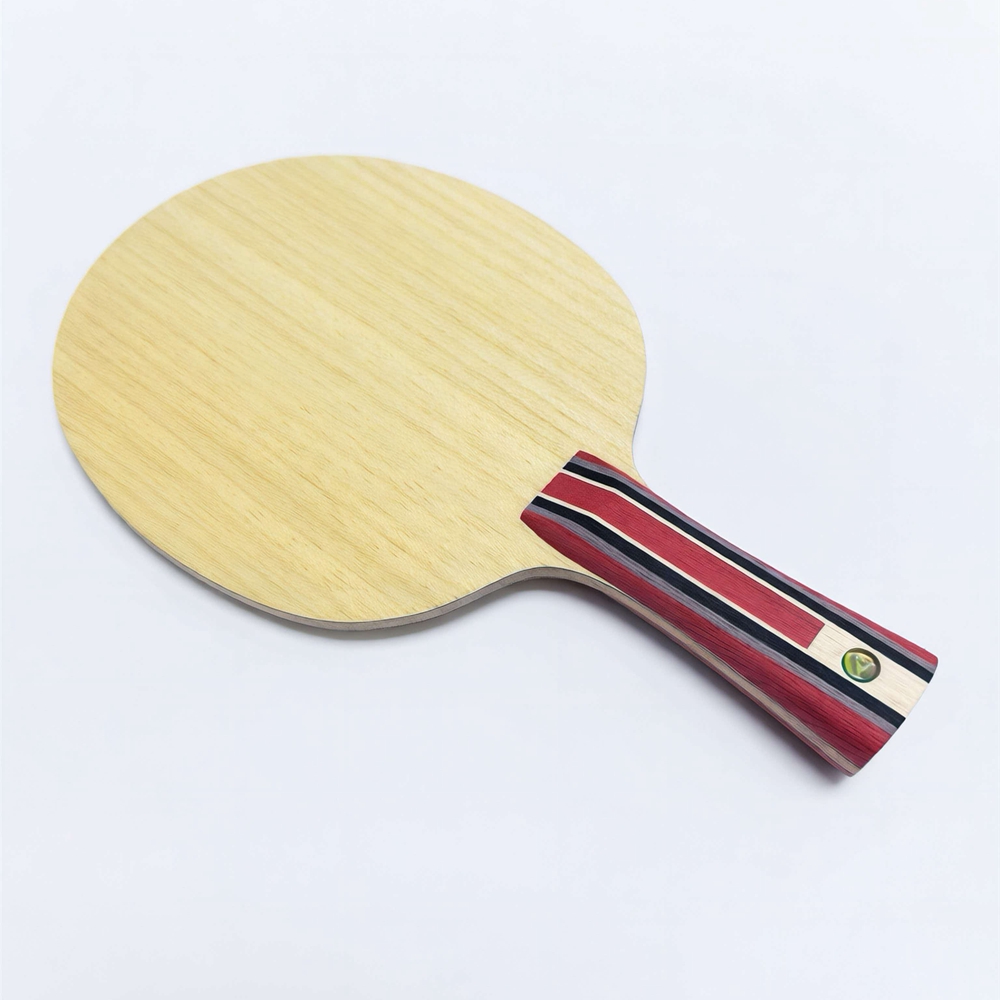 Table Tennis Custom Bat - Fan ZD Golden Logo Carbon Fiber