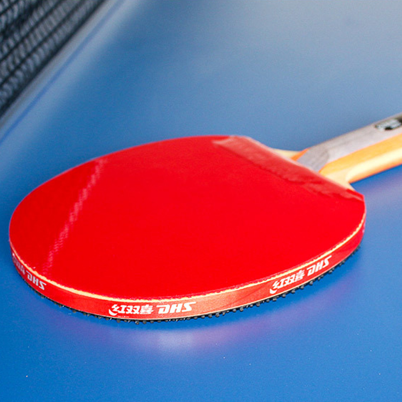 DHS Self-adhesive Table Tennis - Table Tennis Net Set recension och pris