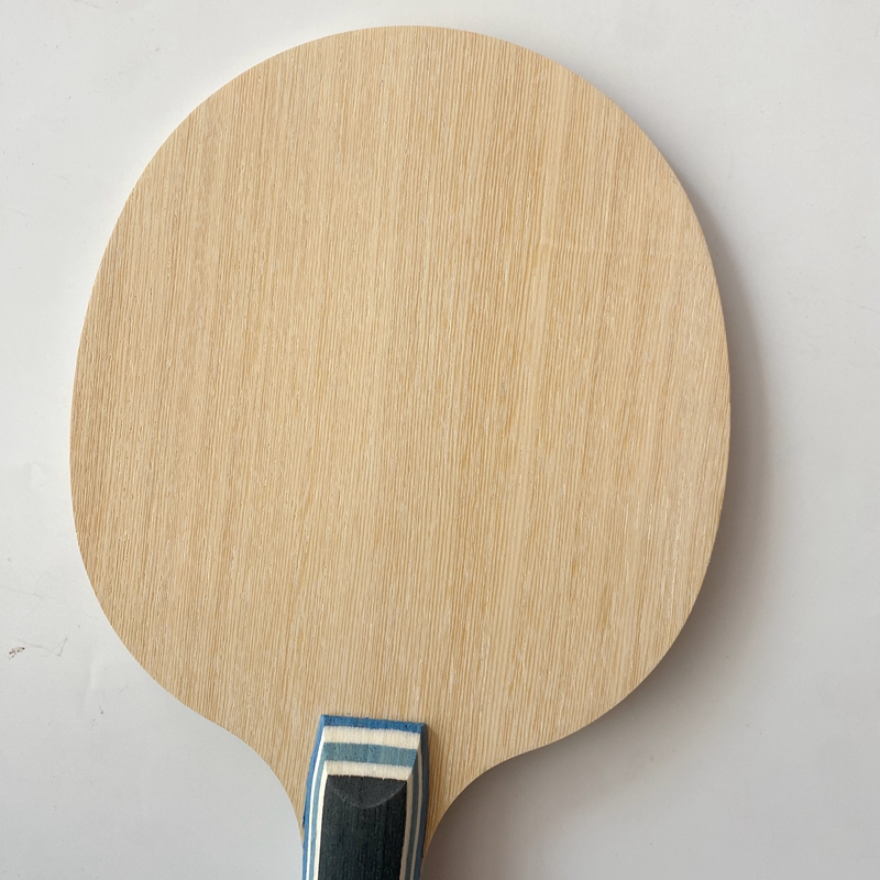 Lemuria VIS Carbon Fiber Table - Table Tennis Xu Xin recension och pris