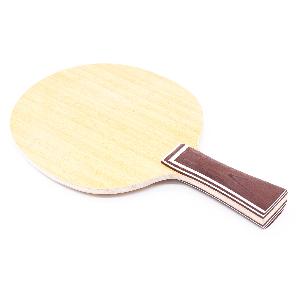 OEM Custom Table Tennis Blade  - Table Tennis Logo Free recension och pris