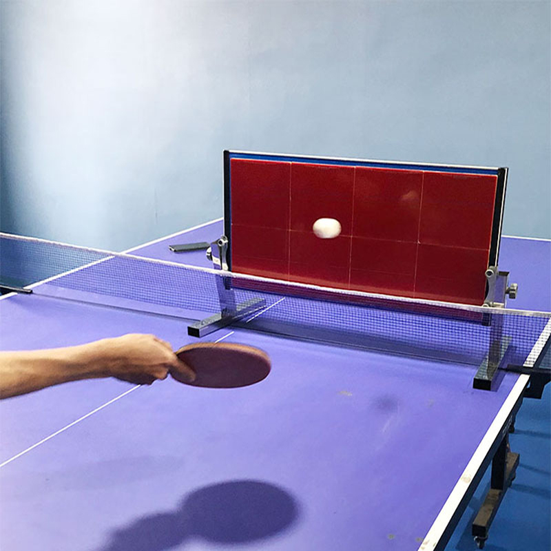 Home Table Tennis Rebound Boar - Table Tennis Net Set recension och pris